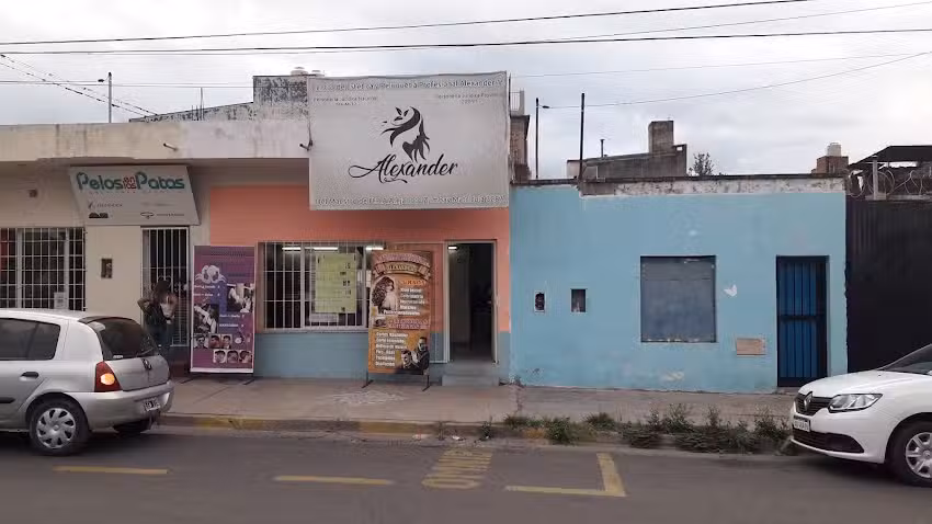 Alexander 1