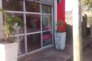 Alma Est&eacute;tica