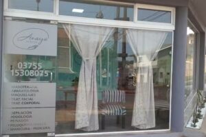 Anaya Est&eacute;tica