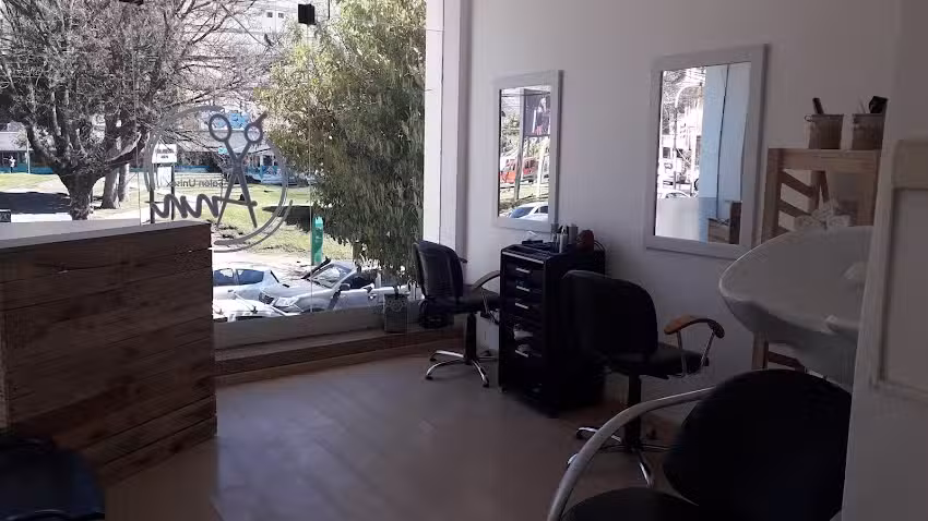 Ann salon