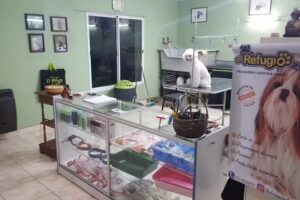 Antonela Bella &ndash; Est&eacute;tica Canina