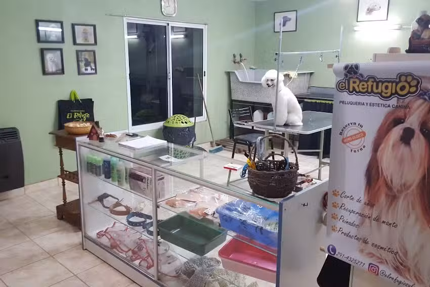 Antonela Bella &ndash; Est&eacute;tica Canina