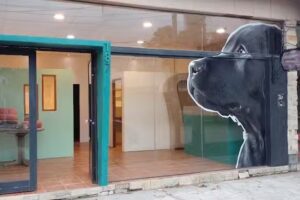 Antu Peluqueria Canina