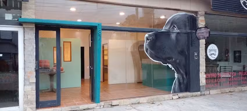 Antu Peluqueria Canina