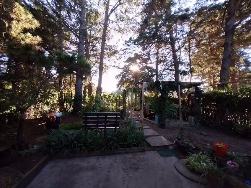 Any bustamante Depilaci&oacute;n