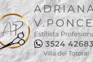 AP ESTILISTA PROFESIONAL