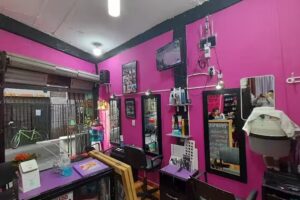 Arte y Belleza Petri