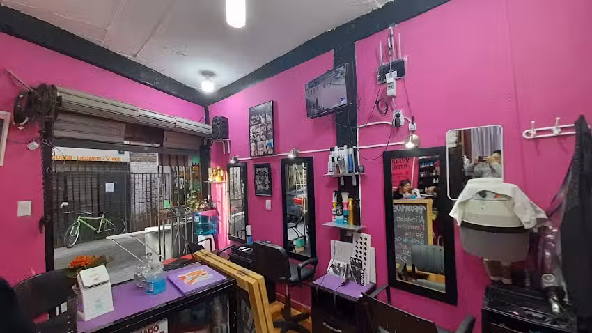 Arte y Belleza Petri