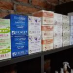 Atenea &ndash; Est&eacute;tica