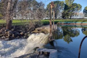 Balneario Coronel Su&aacute;rez