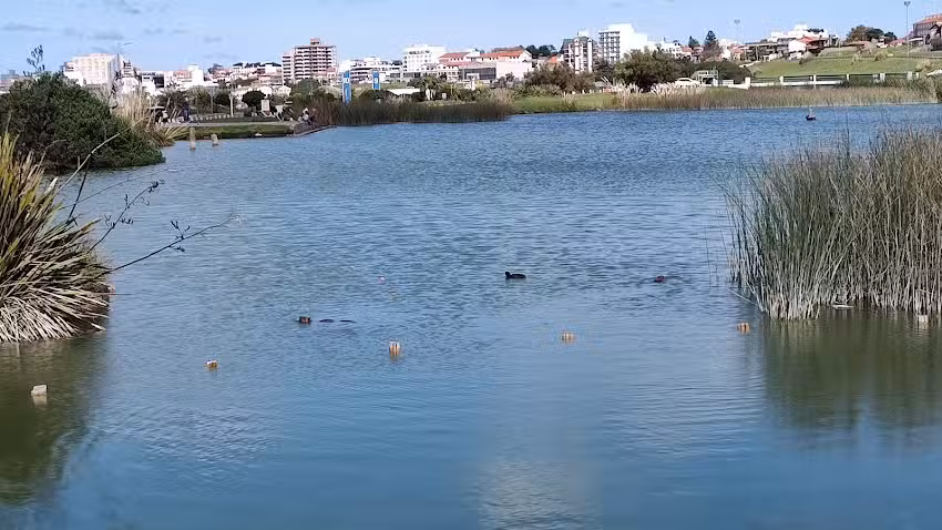 Balneario Ibiza 13 &ndash; Punta Mogotes