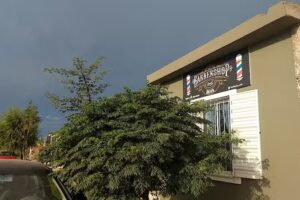 Barber&iacute;a Rufa