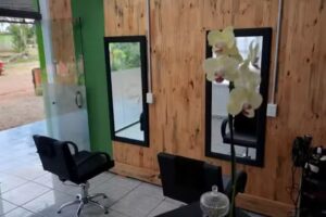 BIENNIS CABELLO DE DISE&Ntilde;O