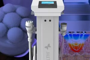 Bioestetica ana altube