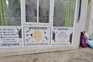 Bubking peluquer&iacute;a canina