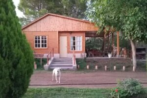 Caba&ntilde;a &ldquo;La Bella&rdquo;