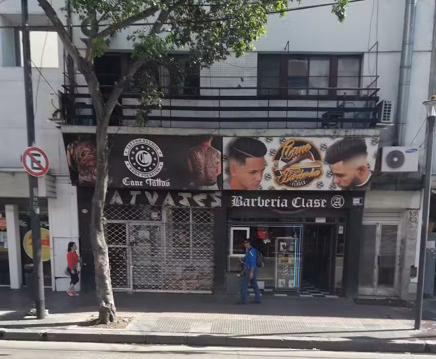 Cane Barberia Flores