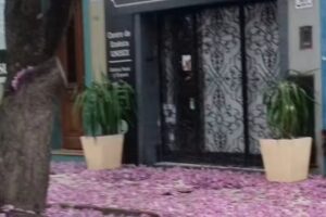 Centro De Estetica Fernanda Picabea