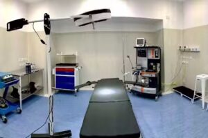 Cirug&iacute;a Pl&aacute;stica Olivos