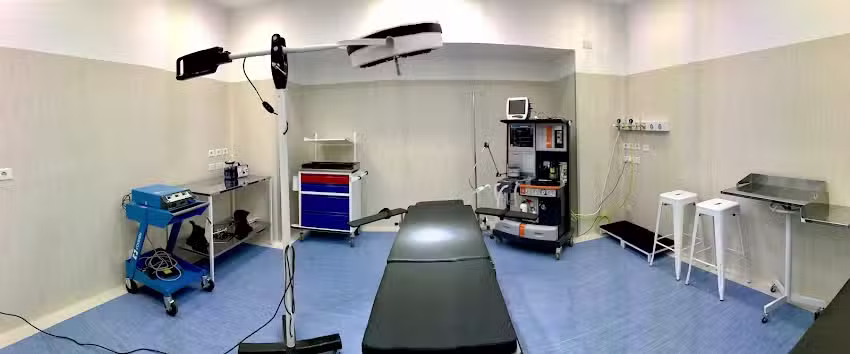 Cirug&iacute;a Pl&aacute;stica Olivos