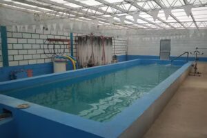 Complejo schoenstatt pileta climatizada