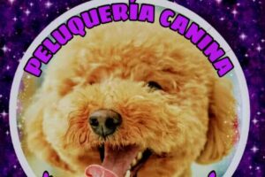 Cosmos Peluquer&iacute;a canina