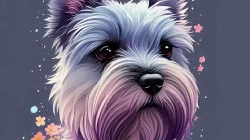 Crazy dog peluquer&iacute;a canina lisandro de la torre 288villa Carlos paz