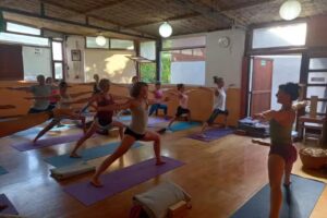 Dandara Multiespacio