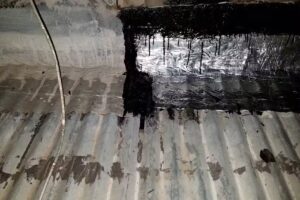 Daniela Vallejos (Sal&oacute;n de Belleza)