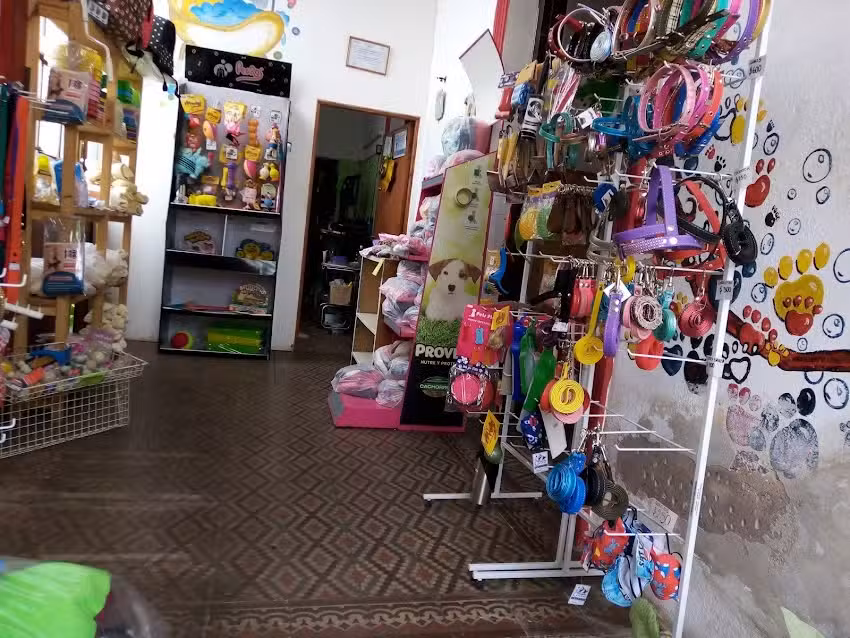 De Pelos Curuzu Peluqueria Canina