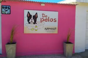De Pelos Peluqueria Canina y Petshop