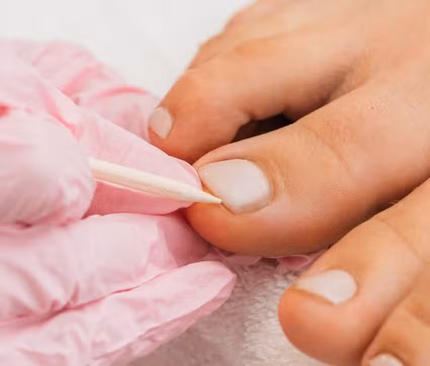 Dhana est&eacute;tica