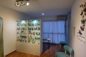 DiKei Est&eacute;tica Integral