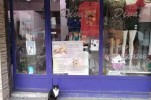 Divas Estetica y boutique