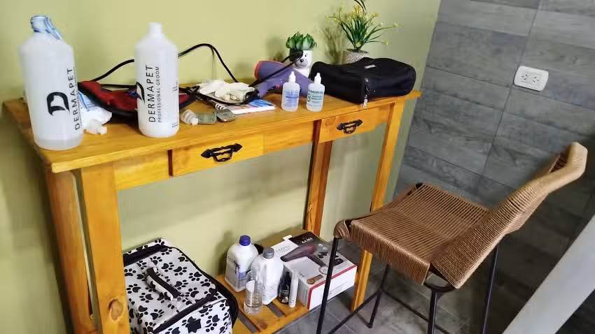 Dog Art Peluqueria Canina