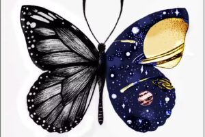 Efecto Mariposa-Salud est&eacute;tica integral/ T&eacute;cnicas Estudios Acad&eacute;mico privado