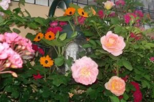 Espacio Natural – un Lugar Pensado para El Bienestar de las Personas