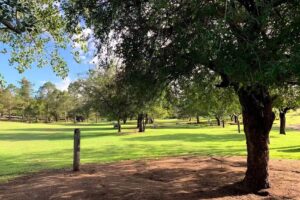 Estancia Tres Estrellas. Ecogranja