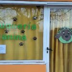 Est&eacute;tica Canina