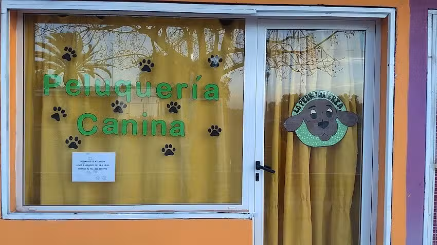 Est&eacute;tica Canina