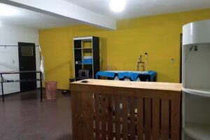 Est&eacute;tica canina bobtail