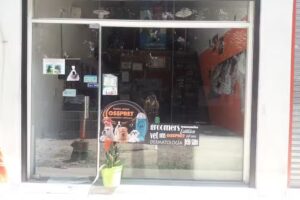 Estetica canina luz toledo