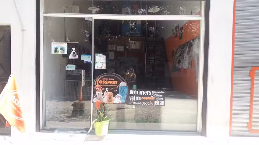 Estetica canina luz toledo