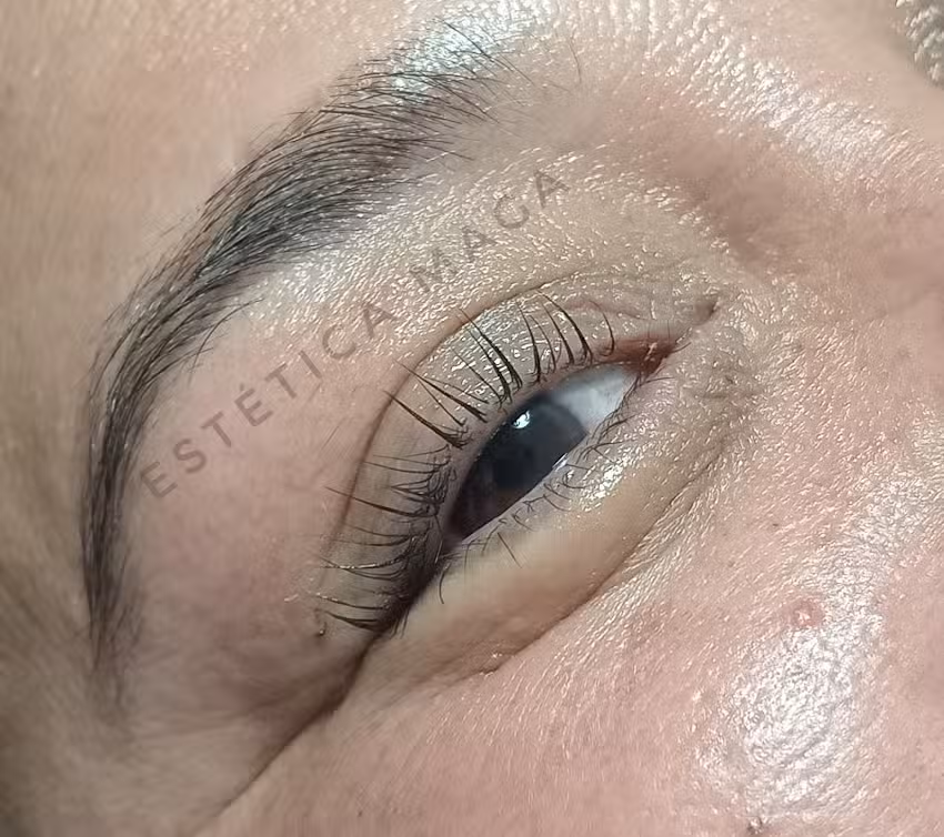 Est&eacute;tica Maga