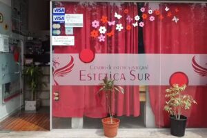 Est&eacute;tica Sur