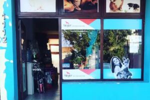 Estetican Peluquer&iacute;a Canina