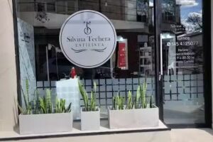 Estilista silvina techera