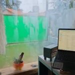 Eugenia Est&eacute;tica Integral