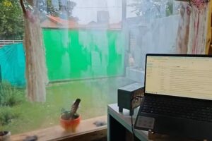 Eugenia Est&eacute;tica Integral