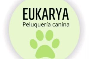 EUKARYA